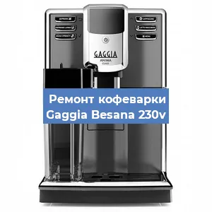 Ремонт кофемашины Gaggia Besana 230v в Тюмени
